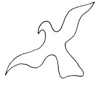 oiseau5